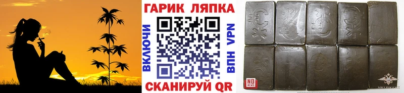 ГАШ Cannabis Кизилюрт