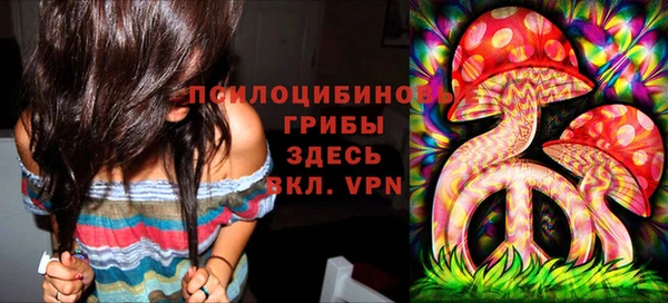 mdpv Нея